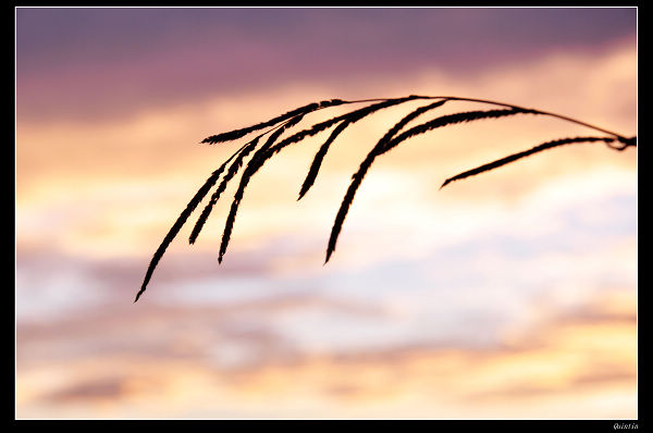 http://i.dcview.tw/gallery/201108/a309d4040fe62b871f34471e461c8fbc.jpg