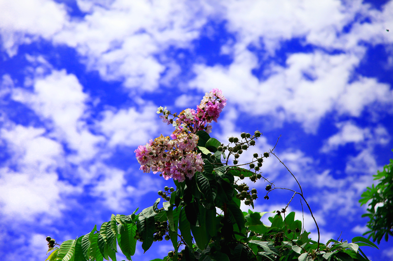 http://i.dcview.tw/gallery/201108/a459b66ae07d29cf794e1ef7f6a67e99.jpg