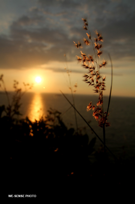 http://i.dcview.tw/gallery/201108/a62ae342364ac691394afc9837a3ae53.jpg
