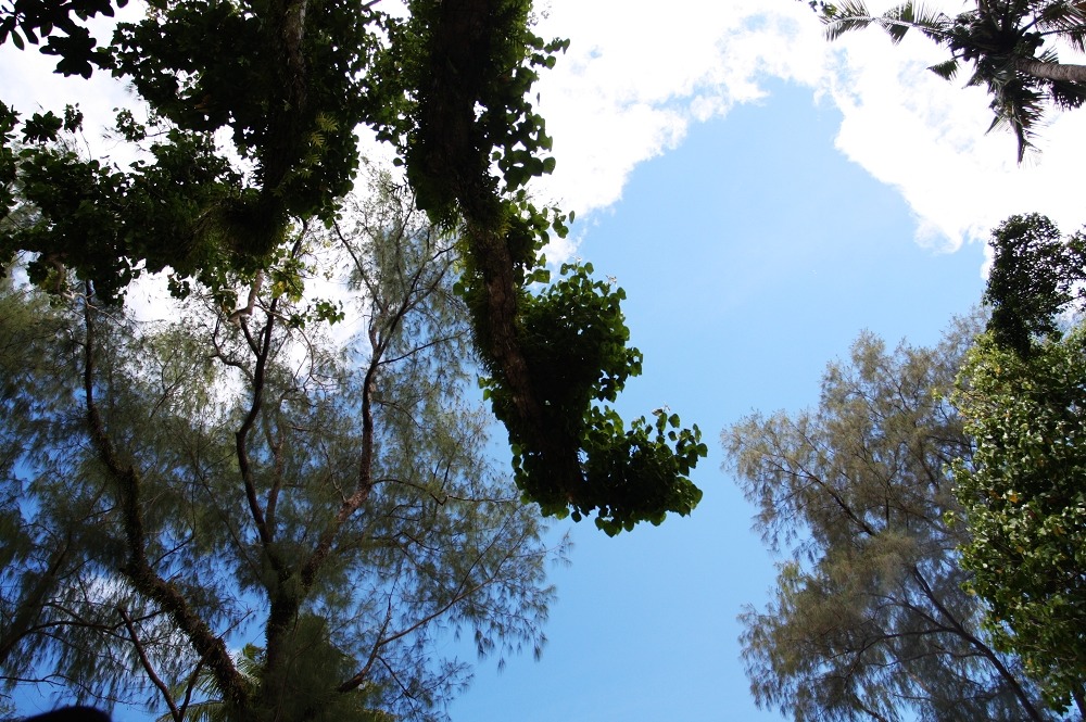 http://i.dcview.tw/gallery/201108/aa2d117dc16064fa9b2f61bccb453a76.jpg