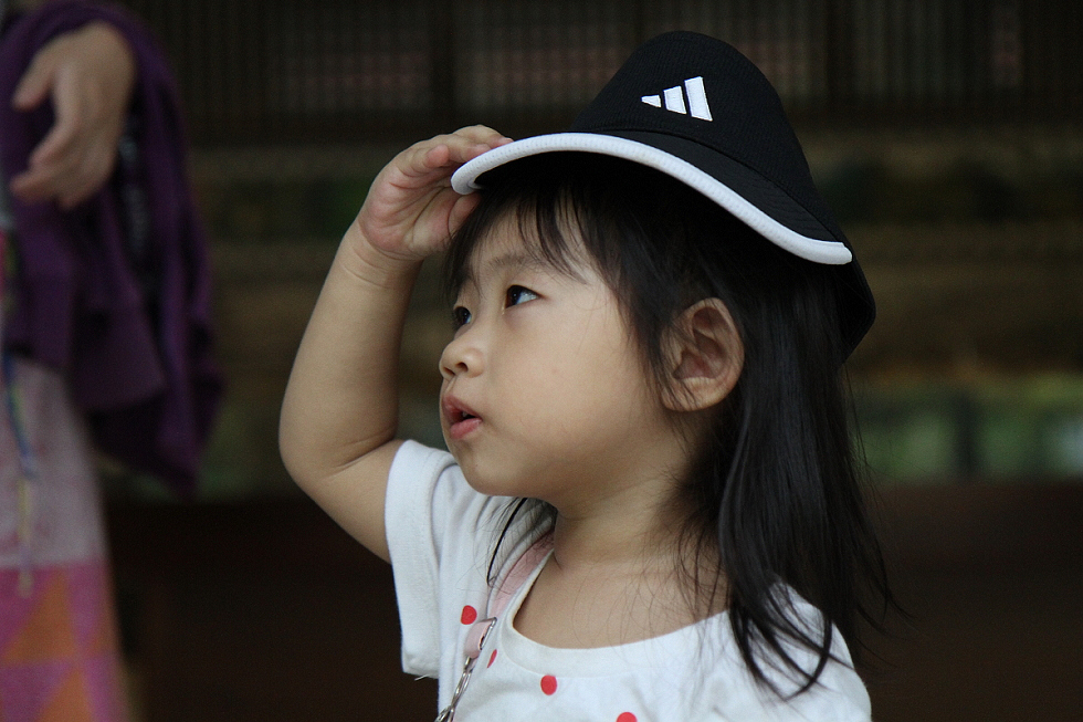 http://i.dcview.tw/gallery/201108/abf3bacdfd21c3d42e62bc35a652e430.jpg