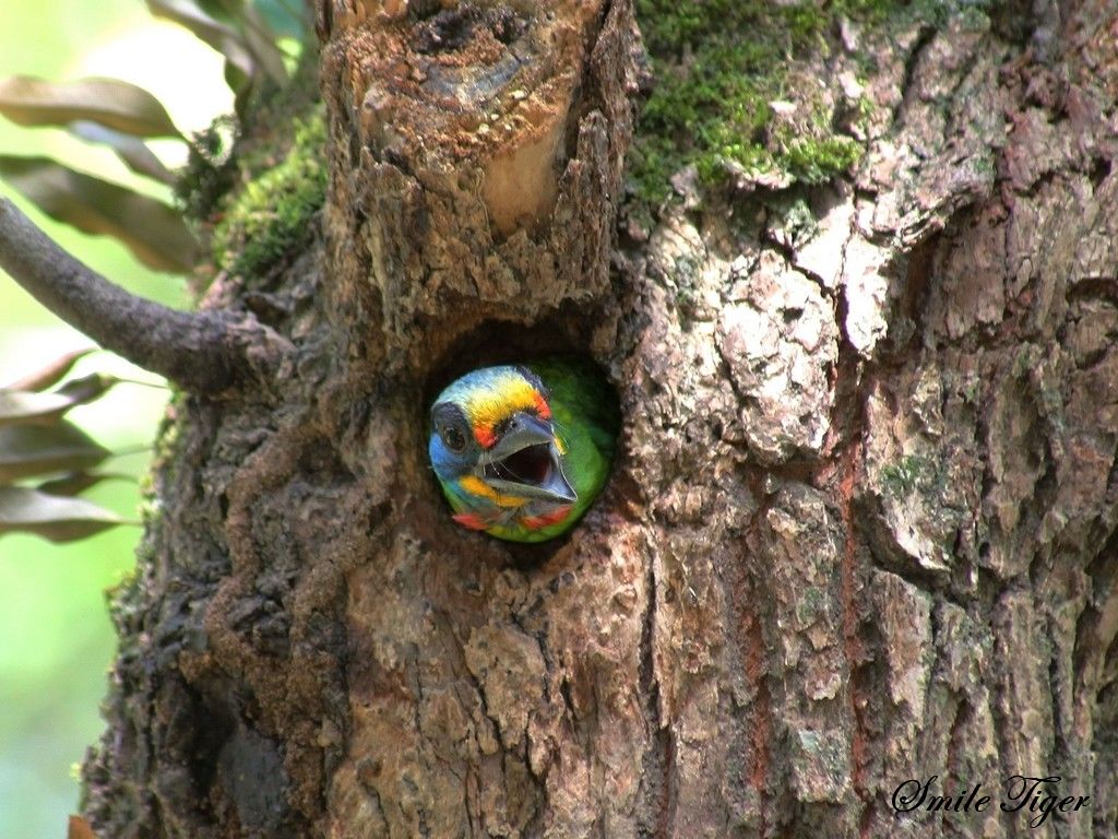 http://i.dcview.tw/gallery/201108/bc8b6686e083401a3f6d83e6f98efce0.jpg