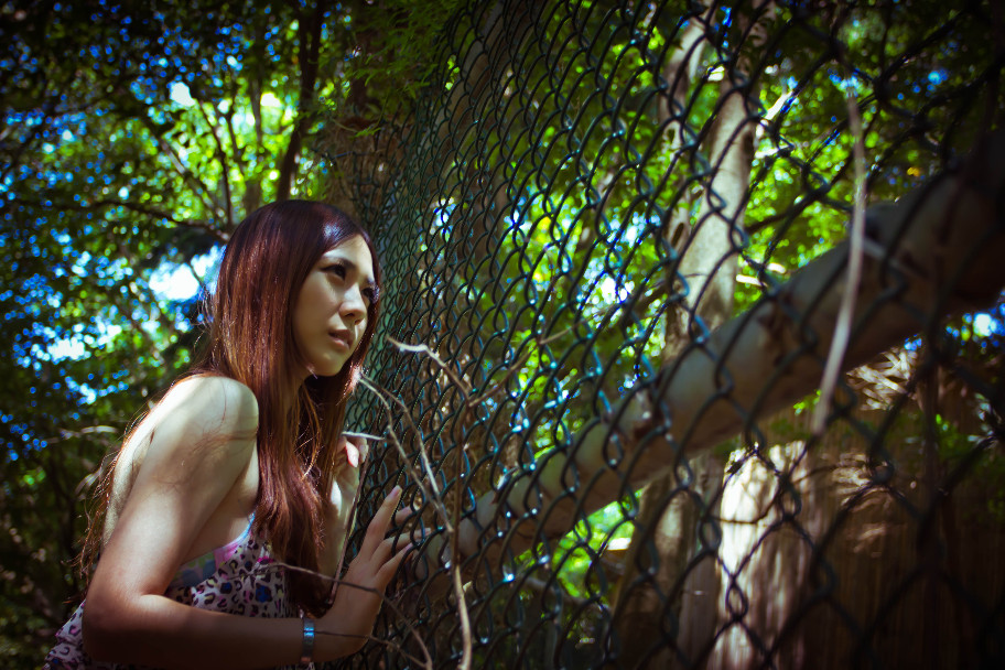 http://i.dcview.tw/gallery/201108/bf914c20ed65a83ec6dc4e323a961c0d.jpg