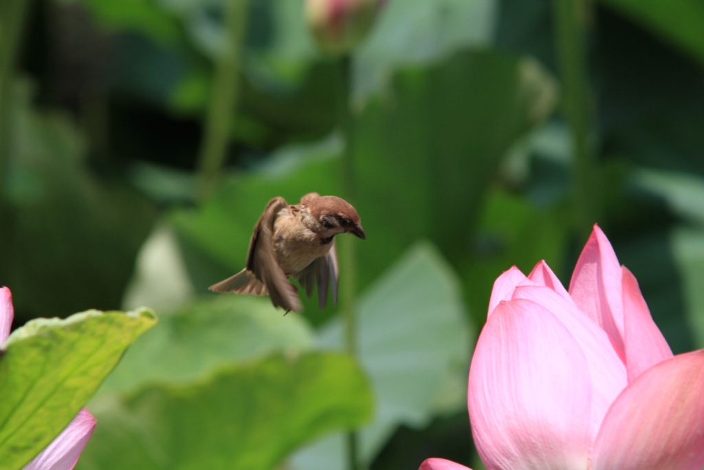 http://i.dcview.tw/gallery/201108/c30b82f3db8212efdfc492a6a7837ec4.jpg