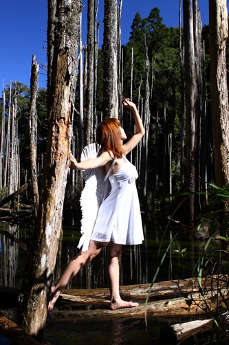 http://i.dcview.tw/gallery/201108/c4e418d498df680728a5449400ce5cf7.jpg