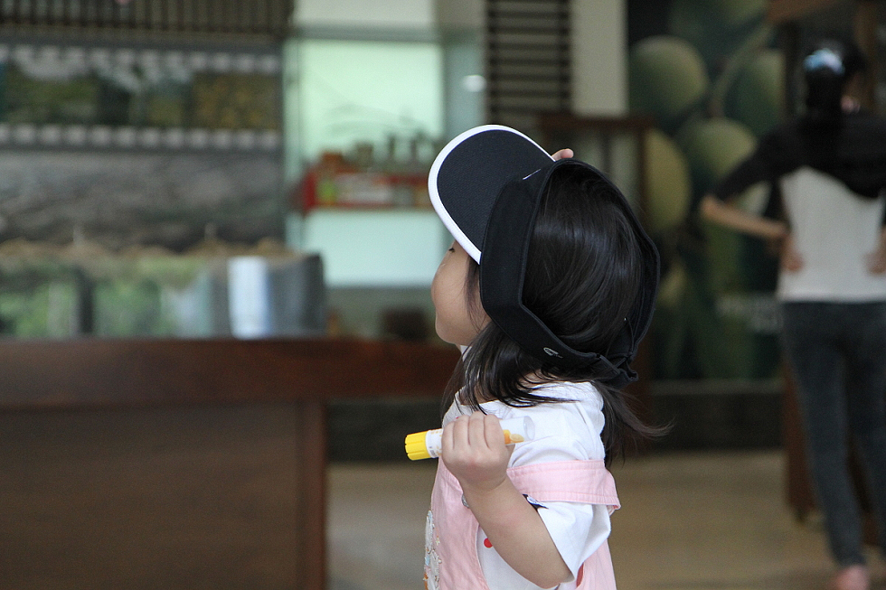 http://i.dcview.tw/gallery/201108/c5493f846c88173a8054d93677ca76b0.jpg