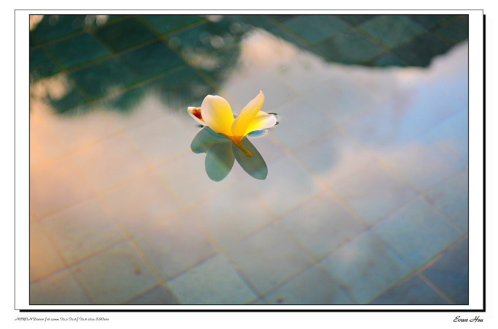 http://i.dcview.tw/gallery/201108/c9bd66515ed81aa3c667702e9dd1cfc5.jpg