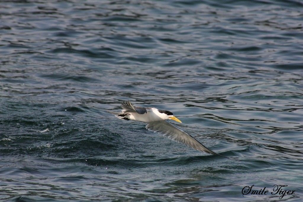 http://i.dcview.tw/gallery/201108/ca3f7ae29f1cdf1dbfb5863a06689508.jpg