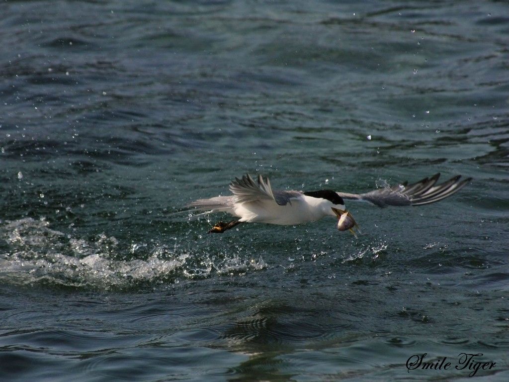 http://i.dcview.tw/gallery/201108/cec3b4818b38e2a845e6ca99c0a8228e.jpg