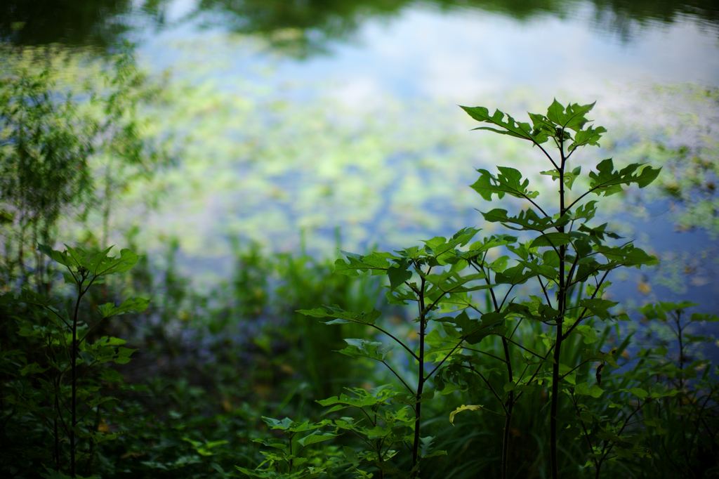 http://i.dcview.tw/gallery/201108/e22af6643700114b9402ee07df090806.jpg