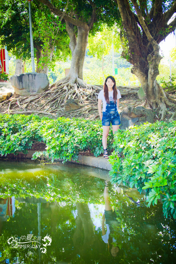 http://i.dcview.tw/gallery/201108/e5a17e164928812ce91763ecdc174d95.jpg