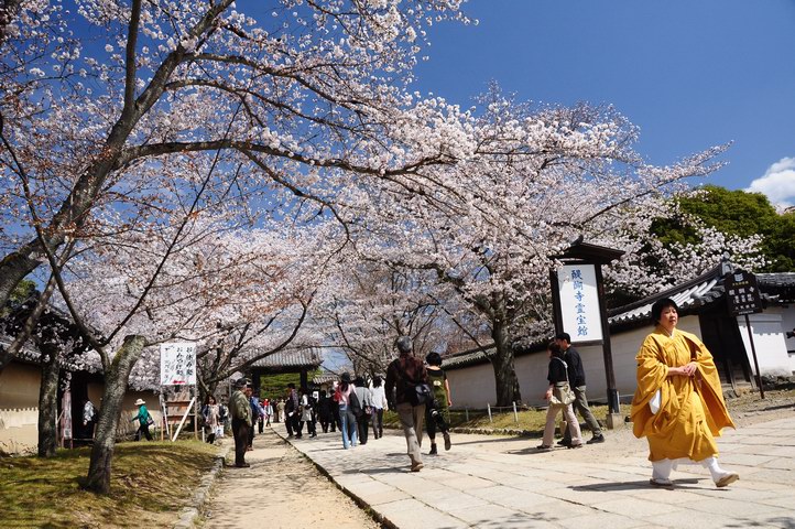 http://i.dcview.tw/gallery/201108/e7370e13fd9826669e01b1c02a6632c0.jpg