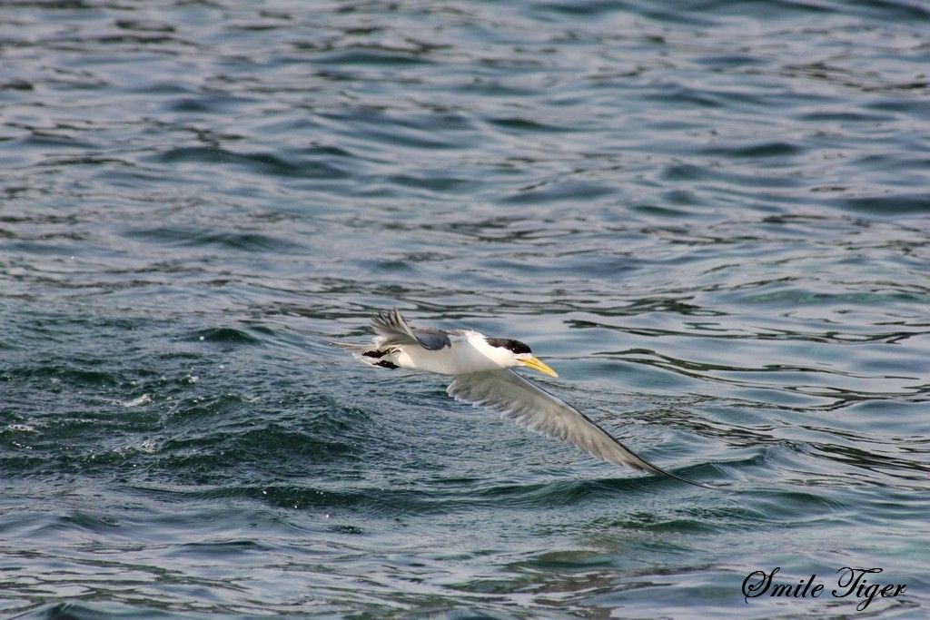 http://i.dcview.tw/gallery/201108/e8bc4b7bd9ded7db6459a852624aaad1.jpg
