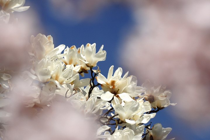 http://i.dcview.tw/gallery/201108/ee63b23ee278beacfd1fef7416056b27.jpg