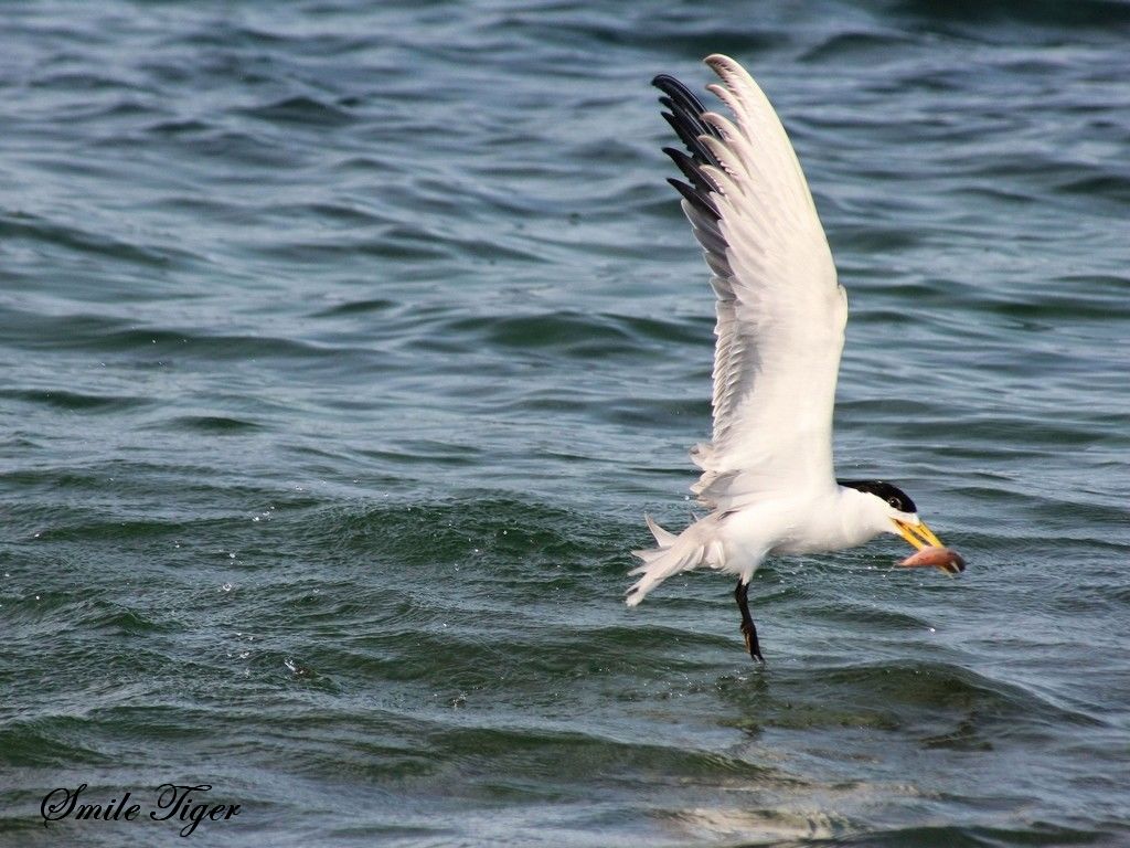 http://i.dcview.tw/gallery/201108/ee84691a0876a729a0a7c7ab667ae173.jpg