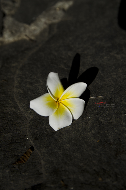 http://i.dcview.tw/gallery/201108/efb902091e7bac9acae41047ccd2b0ae.jpg