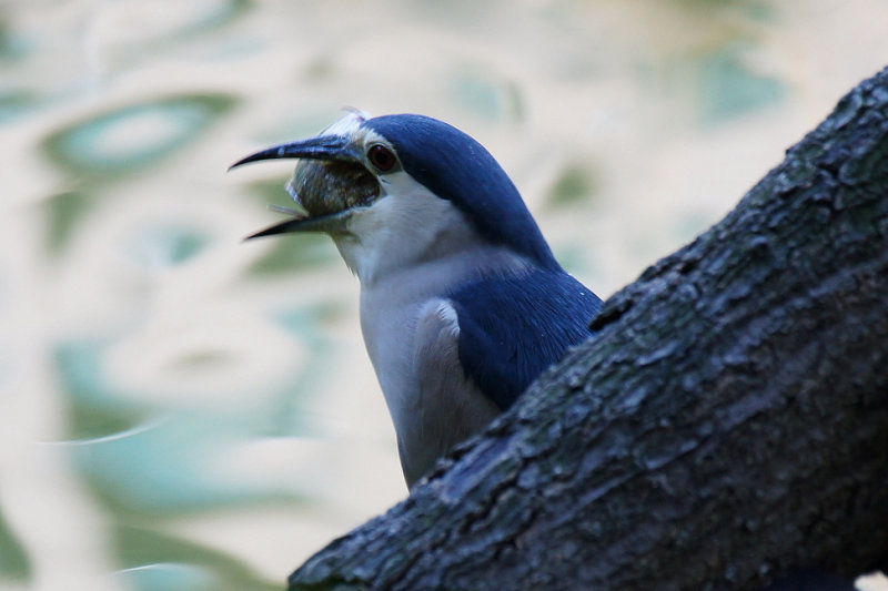 http://i.dcview.tw/gallery/201108/efbb838d179bbf929c2cf739ff2ea596.jpg