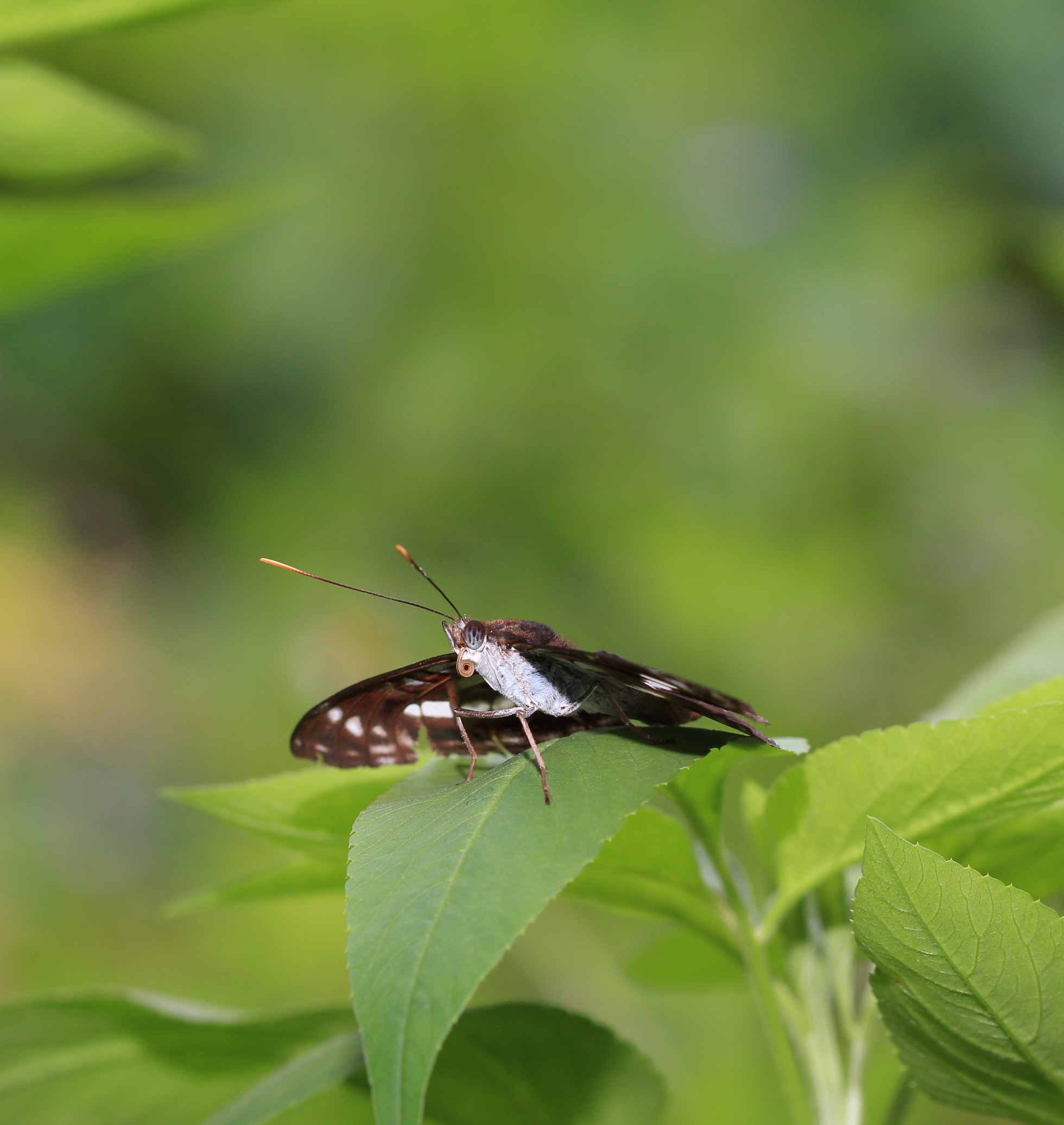 http://i.dcview.tw/gallery/201108/f94603a2eb4eefb7e902fece756560f5.jpg