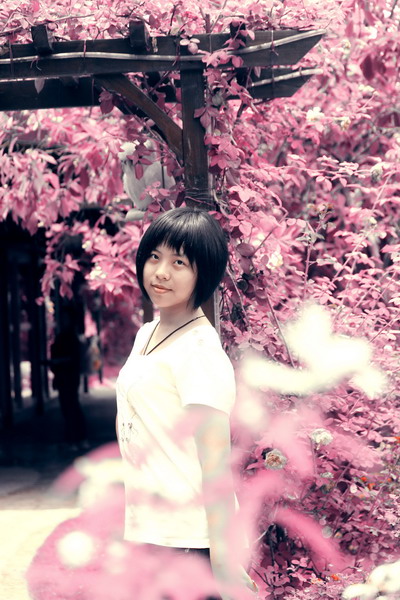 http://i.dcview.tw/gallery/201108/fdb06d47bce0b1a61628f25c74c98a3b.jpg