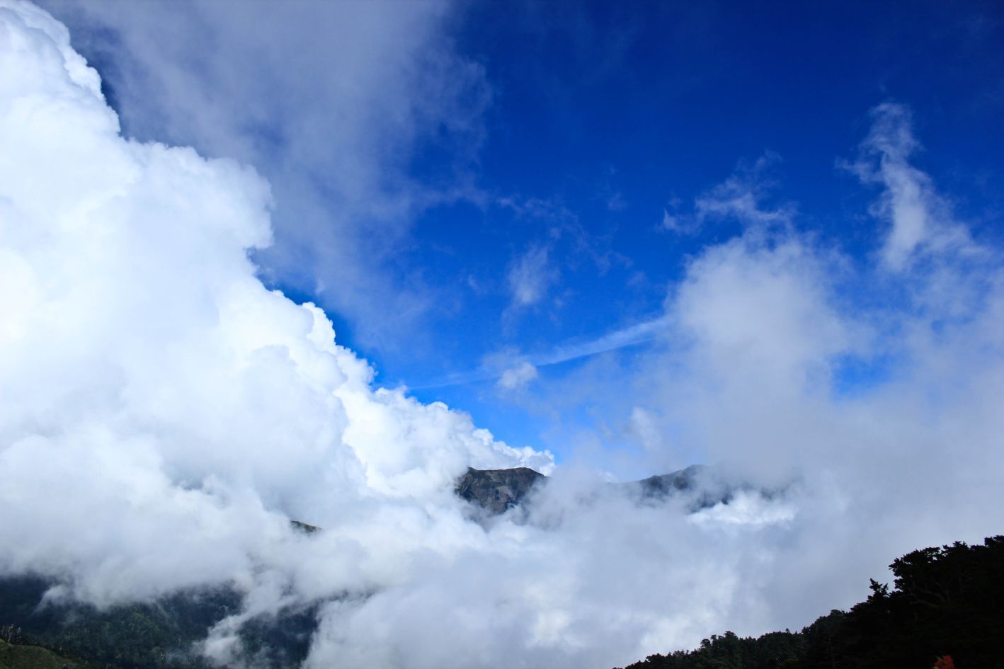 http://i.dcview.tw/gallery/201109/03ae986612dc3d8a70d7c11188c17b09.jpg