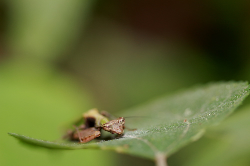 http://i.dcview.tw/gallery/201109/129f4e3cb2c6e167620b81473e39da35.jpg