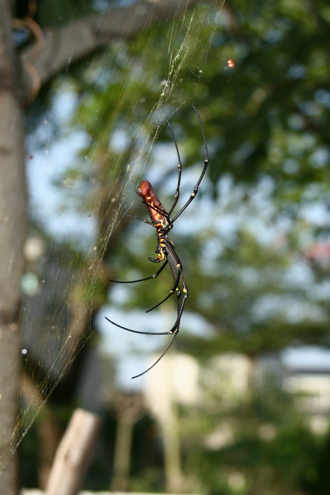 http://i.dcview.tw/gallery/201109/25fce0756228be3aa75cb447388dbda9.jpg