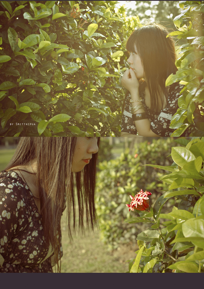 http://i.dcview.tw/gallery/201109/261f9cc861c32510ce7812a42d82c964.jpg