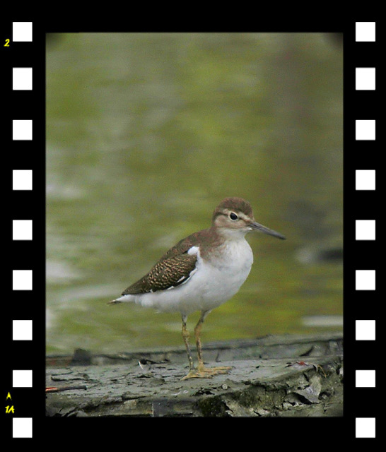 http://i.dcview.tw/gallery/201109/2706dfc55369d778da353b5650d0af44.jpg