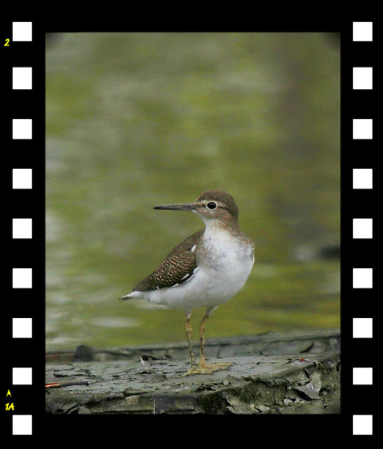 http://i.dcview.tw/gallery/201109/28f9b7ace66433eeadc4ccba56daf785.jpg