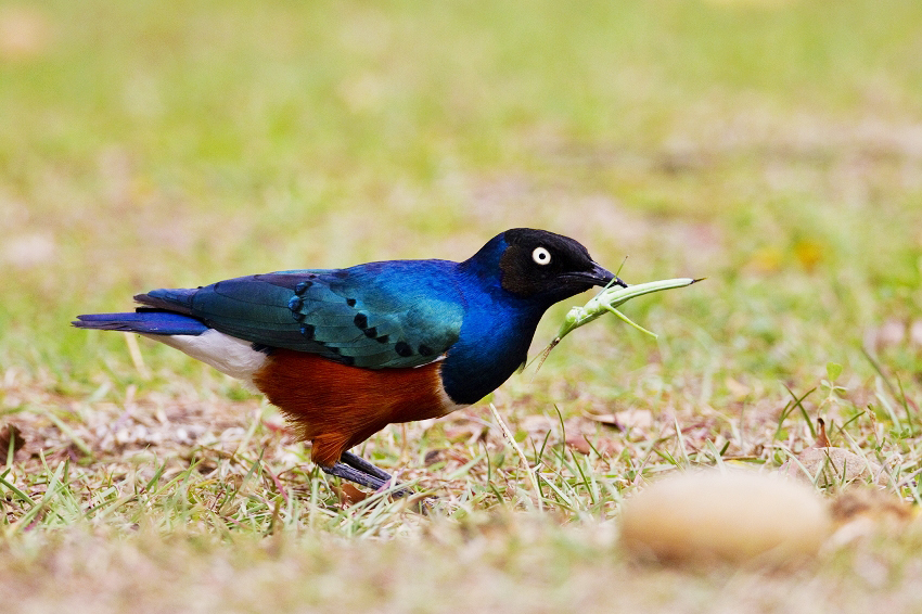 http://i.dcview.tw/gallery/201109/343ec33ff4333523a745e8228bf8e3ec.jpg
