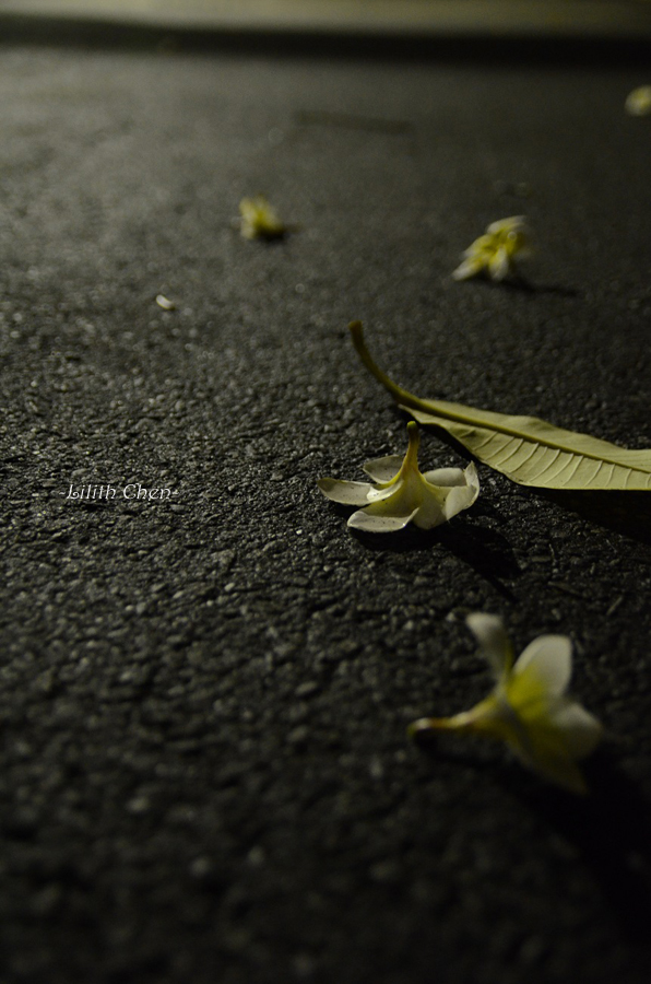 http://i.dcview.tw/gallery/201109/3f7ebdb1ddf9403d37e3ebb771368f93.jpg