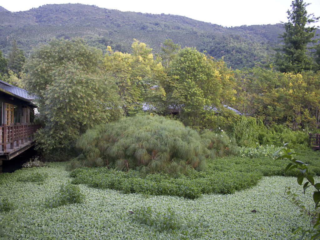 http://i.dcview.tw/gallery/201109/52b0a1b6b24b2e7a2d09e7b1a7af5e30.jpg