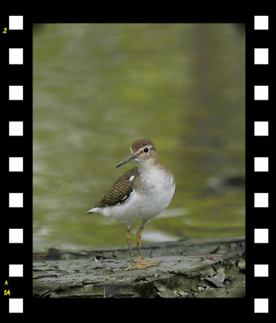 http://i.dcview.tw/gallery/201109/57135ea74b2ebce77d64bc6fd47eb7f7.jpg