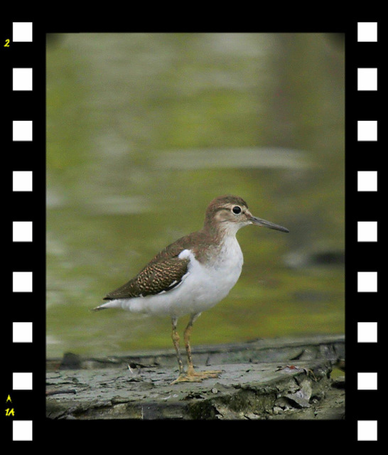http://i.dcview.tw/gallery/201109/58dadc9b93751d8eeaf058997d5af67a.jpg