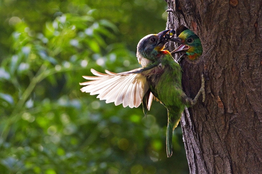 http://i.dcview.tw/gallery/201109/5d3c66a590b0d94c777dc439d3441e78.jpg