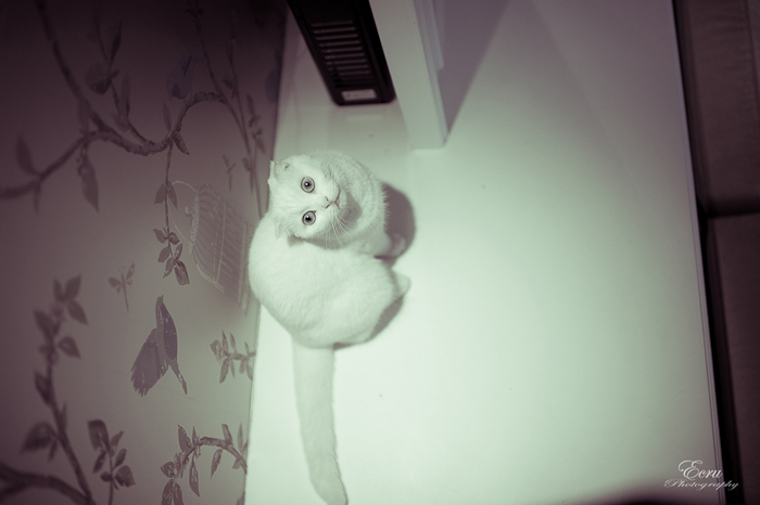 http://i.dcview.tw/gallery/201109/5da729a55e9006e8e4232d4191d169d3.jpg