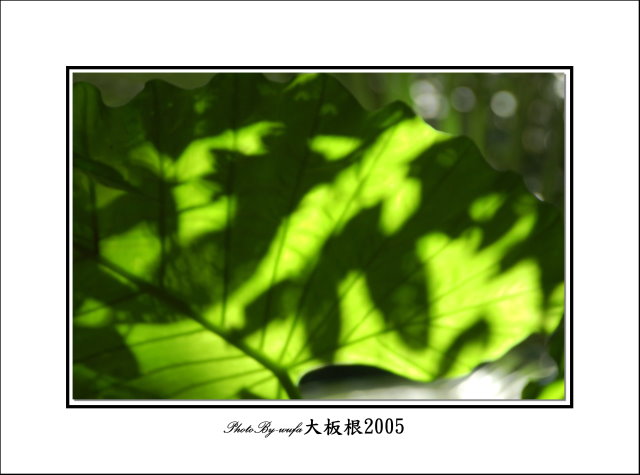 http://i.dcview.tw/gallery/201109/6b146359239ae2f685e5cccb1f032291.jpg
