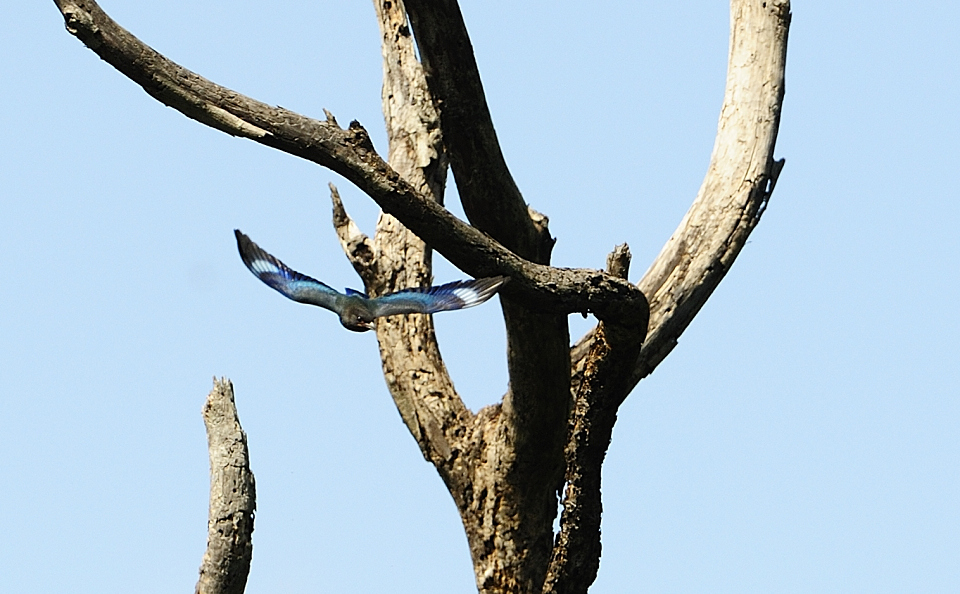 http://i.dcview.tw/gallery/201109/6ff06b84a34f127af07c2449ef617101.jpg