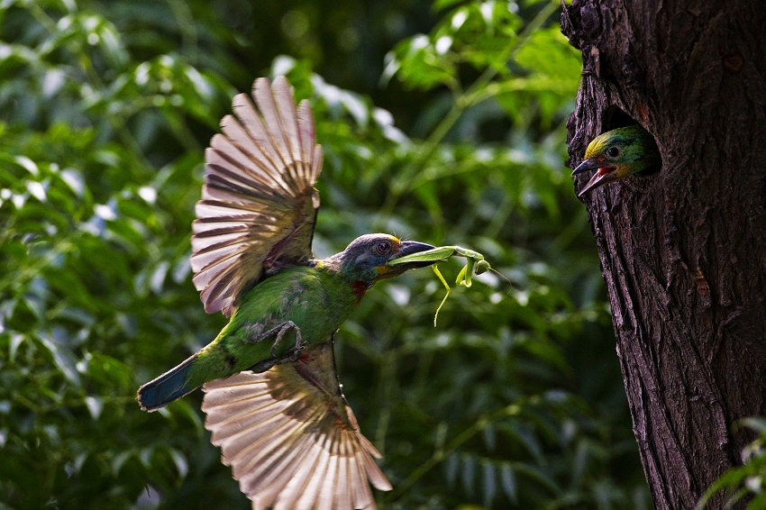 http://i.dcview.tw/gallery/201109/7060ef5132a21fcb369a357b7b0ebbe4.jpg
