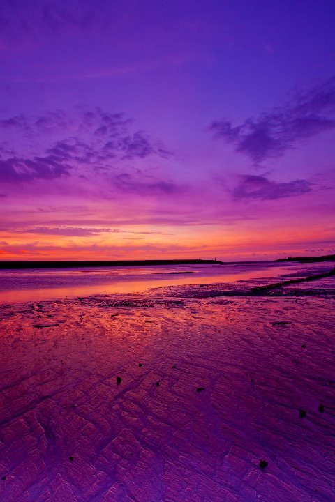 http://i.dcview.tw/gallery/201109/7a05ebe580b1c34b83c80468796d4b44.jpg