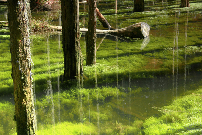 http://i.dcview.tw/gallery/201109/82bc8f4aaddabfe125ed5ce1c9df431a.jpg