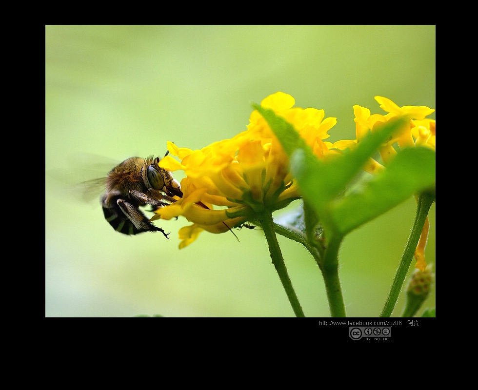 http://i.dcview.tw/gallery/201109/865f6b3d3899b29d84bda0678944d84c.jpg