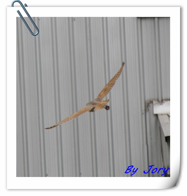 http://i.dcview.tw/gallery/201109/9b9360ee2e0ff4d15f8ec9cf87e4c4a9.jpg