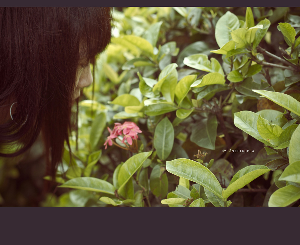 http://i.dcview.tw/gallery/201109/a71f3fdd2f0a5eb7f45dc8af1d0bdb93.jpg
