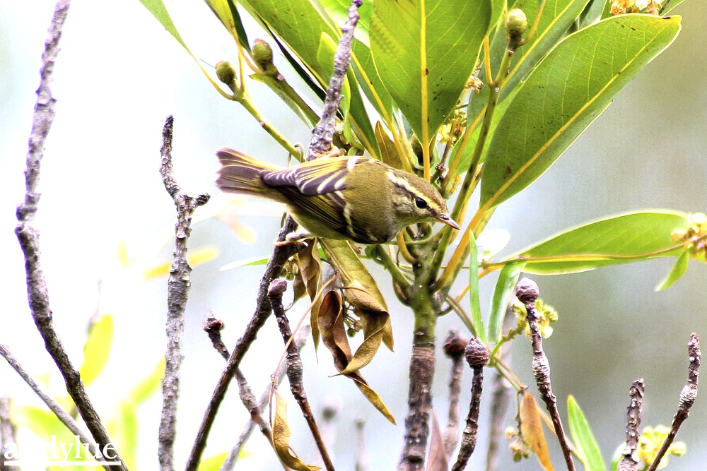 http://i.dcview.tw/gallery/201109/a7c5feae8f2465ebb89286f6872e6c04.jpg