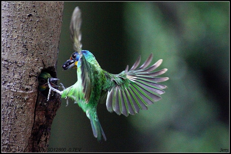 http://i.dcview.tw/gallery/201109/b336f7da1778857bdac3ba5ffe3ef92b.jpg