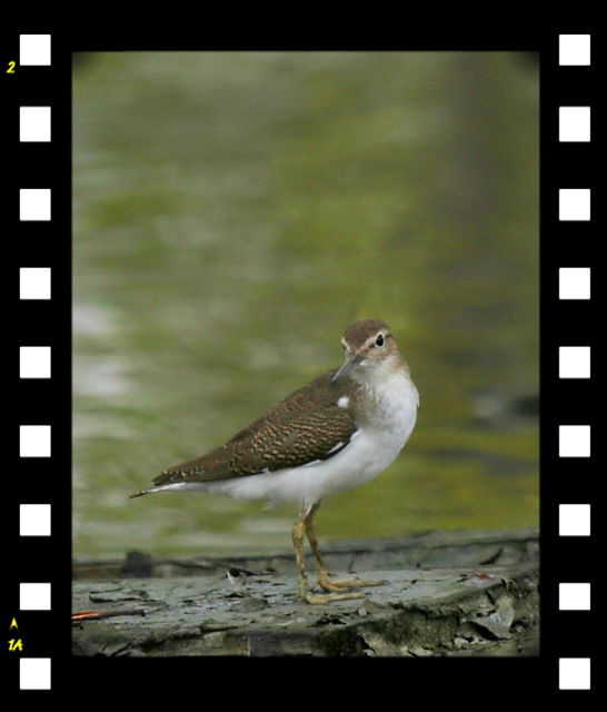 http://i.dcview.tw/gallery/201109/b61b31de4af6b71272d4d75cd5b78cc4.jpg
