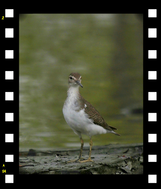 http://i.dcview.tw/gallery/201109/b843306ae0df1be76e75643702c1c3ed.jpg