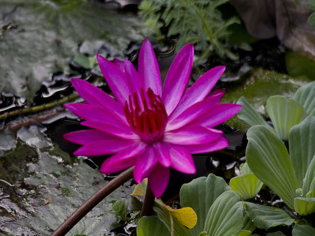 http://i.dcview.tw/gallery/201109/b9ddf76f8257aba7372a9f9e150f040d.jpg