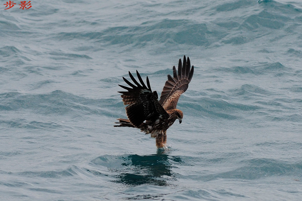 http://i.dcview.tw/gallery/201109/befe825bb784ed67cb38eb5d2fc72865.jpg